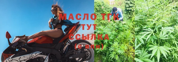 дмт Карпинск