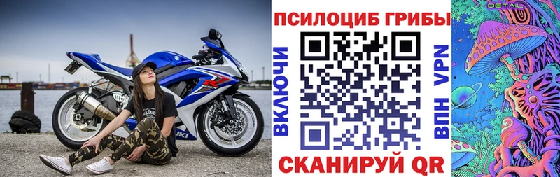 Купить Луза Псилоцибиновые грибы GOLDEN TEACHER